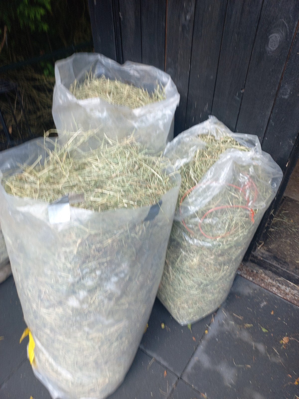 3 zakken vers hooi, Ophalen, Knaagdier of Konijn