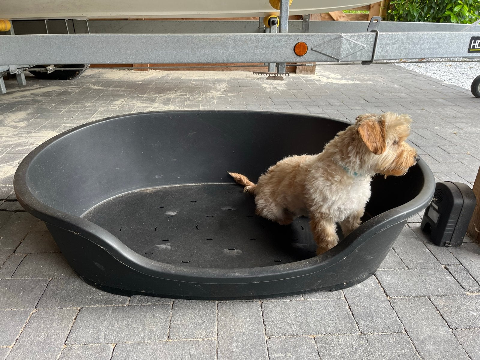Kunstof hondenmand maat XL Grote honden, Ophalen, Zo goed als nieuw, Overige