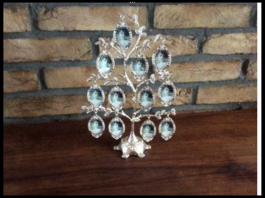 Zilveren stamboom kadertje 8 foto’s, Antiek en Kunst, Ophalen of Verzenden, Zilver
