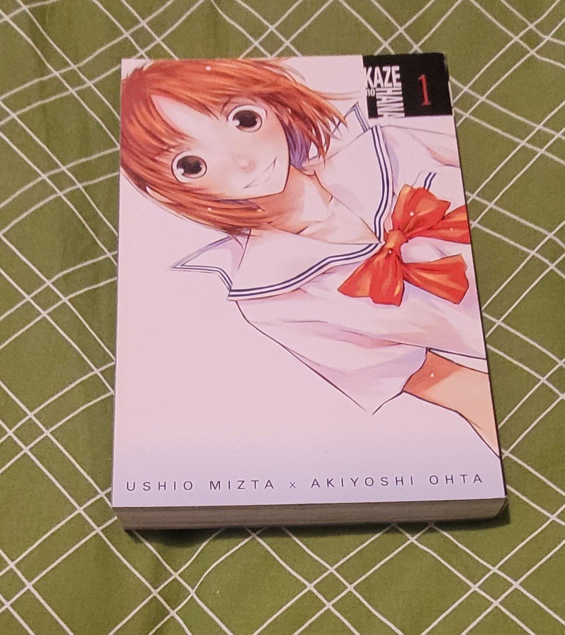 Manga Kaze no hana vol. 1, Boeken, Ophalen of Verzenden, Gelezen, Eén comic, Japan (Manga)