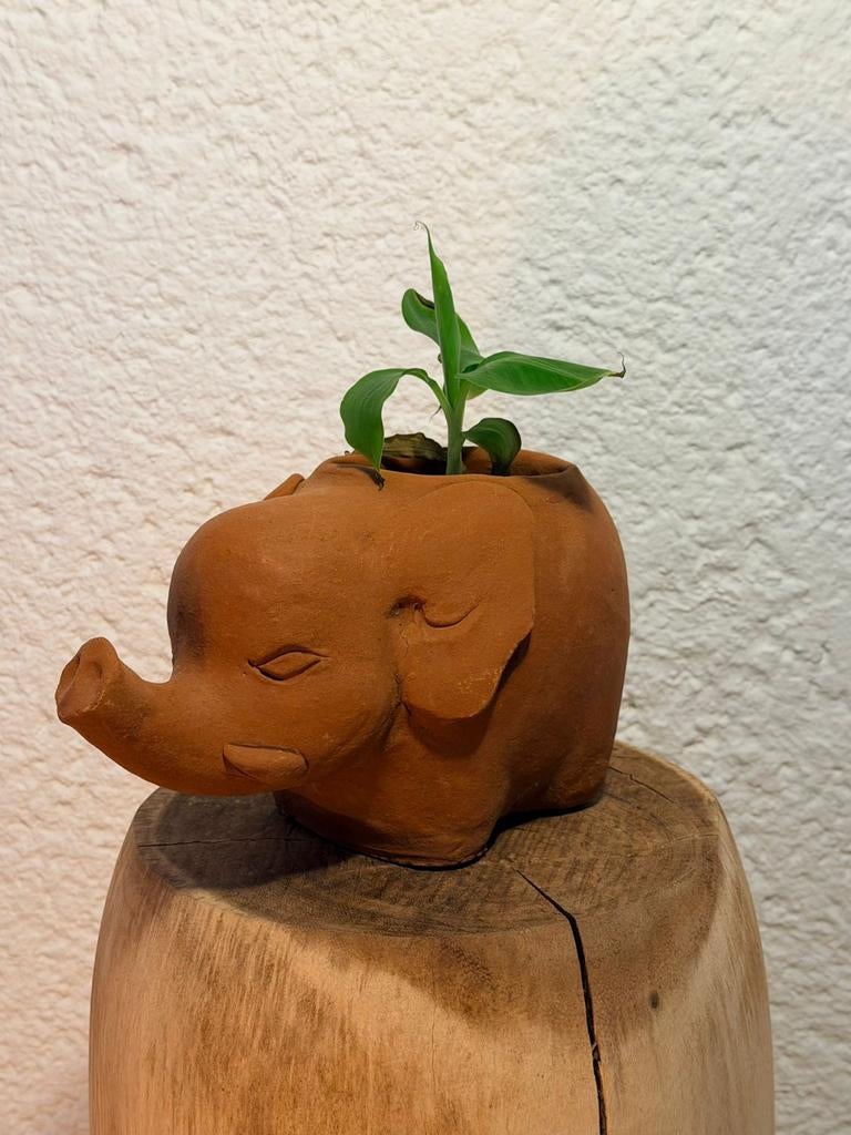 Terrecotta bloempotje olifant, Tuin en Terras, Bloempotten, Ophalen, Rond, Aardewerk, Minder dan 40 cm
