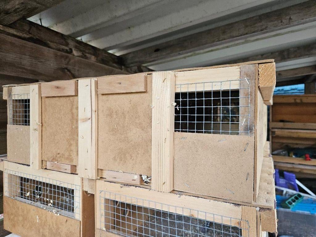 trasport / vervoer kisten kooien, Ophalen of Verzenden, Gebruikt, Hout, Overige typen