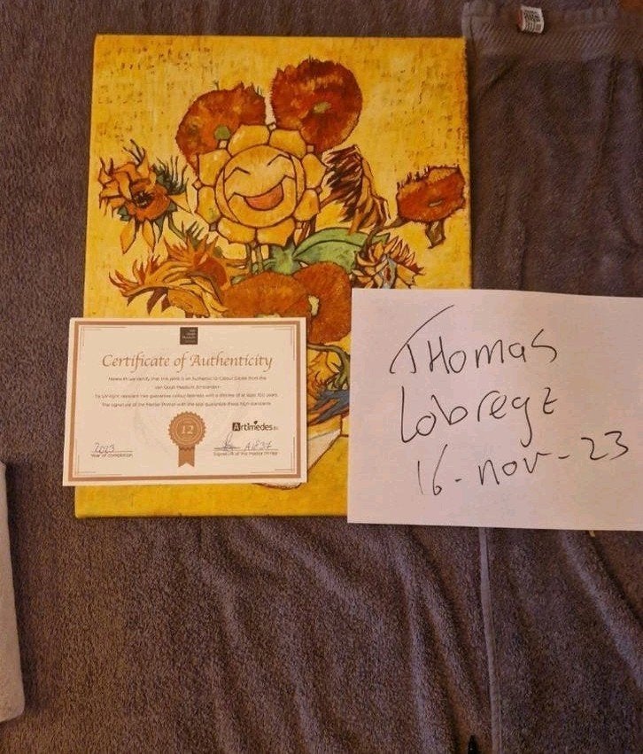 pokemom van gogh canvas sunflora XL, Hobby en Vrije tijd, Ophalen of Verzenden, Overige typen