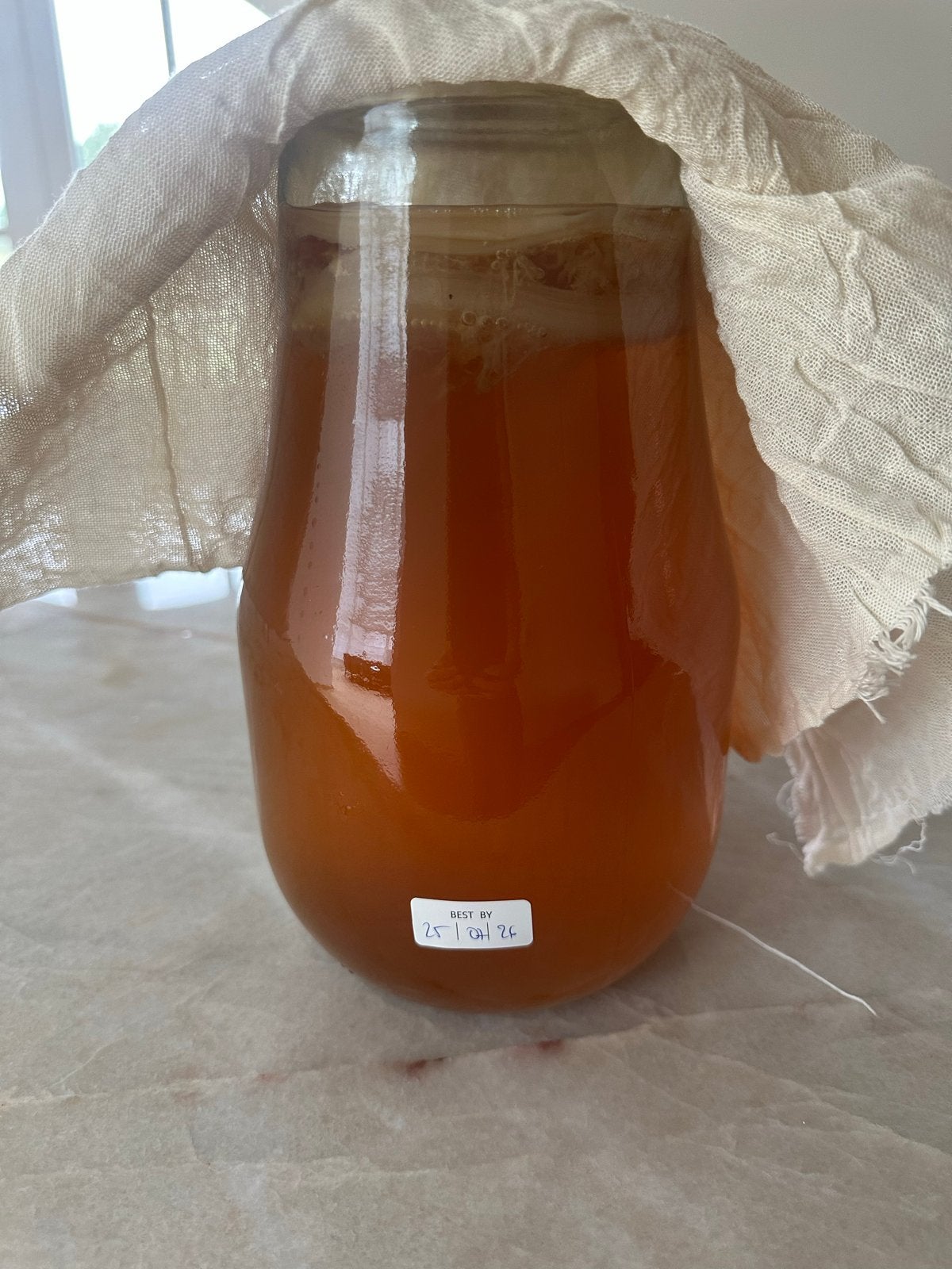 Kombucha SCOBY met startervloeistof biologisch, Diversen, Ophalen