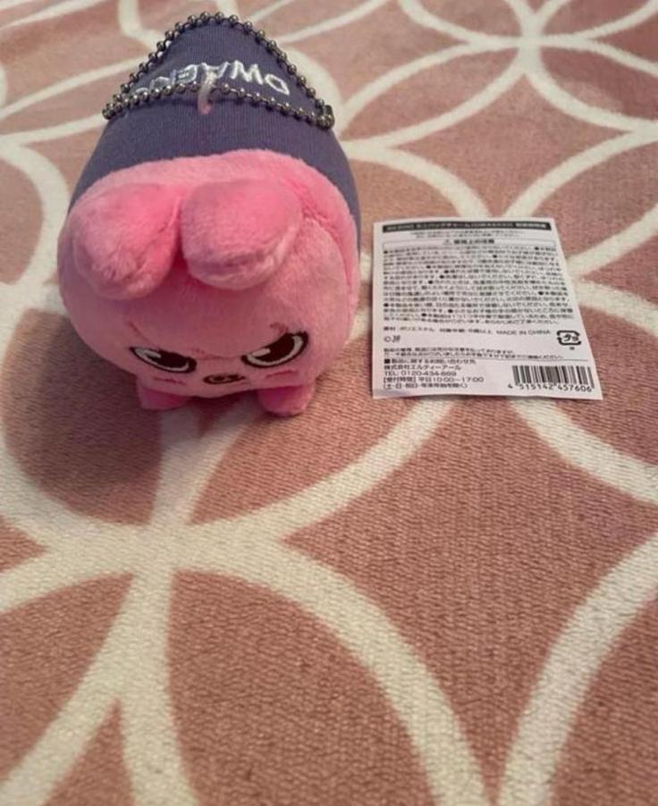 Stray Kids SKZOO Dwaekki bag charm plush, Ophalen of Verzenden, Nieuw, Foto of Kaart