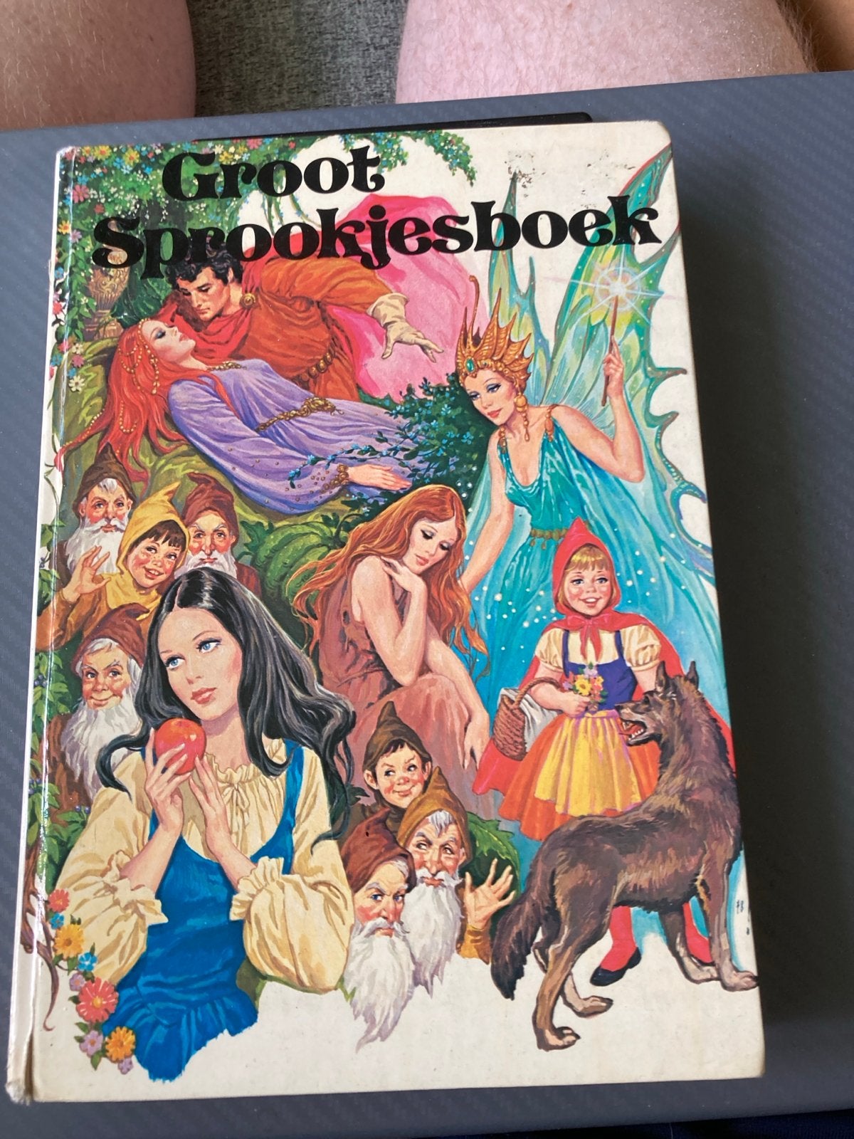 Groot Sprookjesboek - Klassieke Verhalenbundel, Boeken, Ophalen of Verzenden, Gelezen