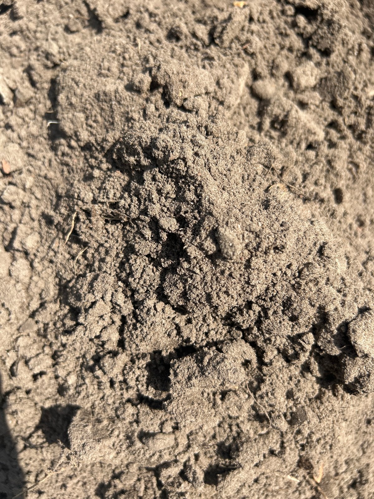 Zwarte grond voor tuin en aanleg, Tuin en Terras, Ophalen, Gebruikt, Overige typen