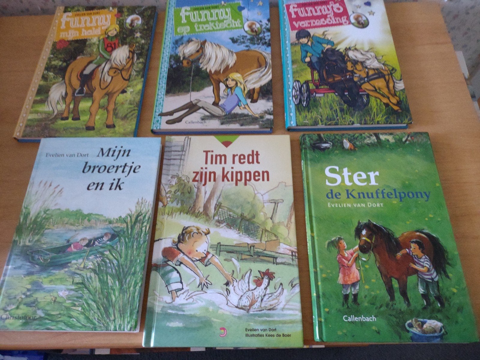 Heel veel kinderboeken- Evelien van Dort, Ophalen of Verzenden, Gelezen, Fictie algemeen