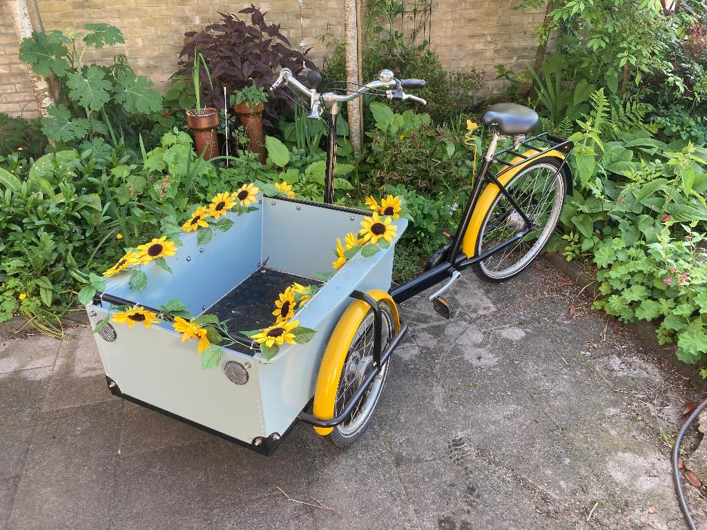 bakfiets, opgeknapt, versnellingen, (niet elektrisch), Ophalen, Gebruikt, Goederen, Elektrisch