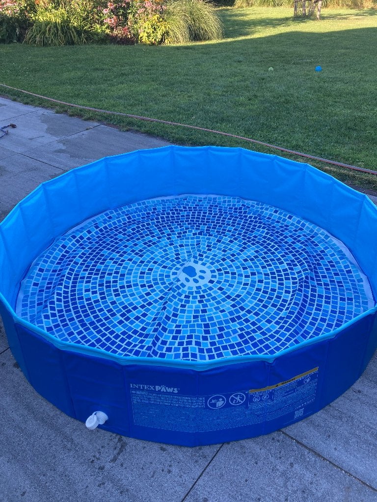 hondenzwembad opvouwbaar 152 x 30cm, Ophalen, Zo goed als nieuw