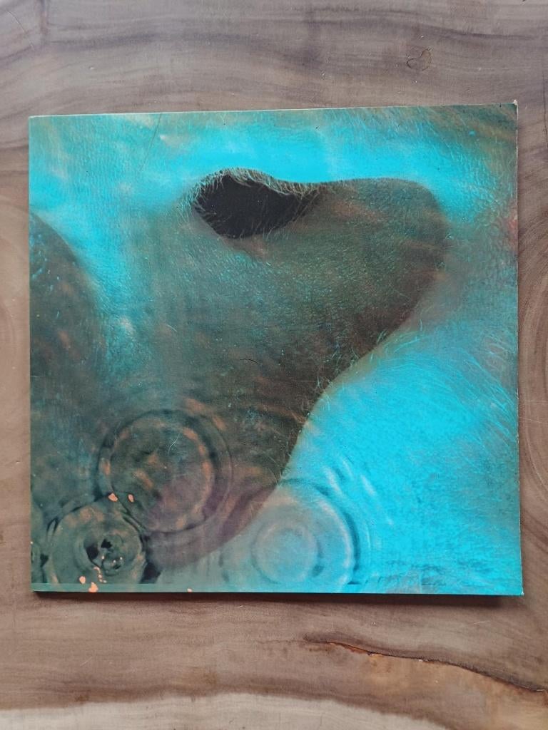 Pink Floyd - Meddle - Vinyl, Cd's en Dvd's, Ophalen of Verzenden, Zo goed als nieuw, 12 inch, Progressive