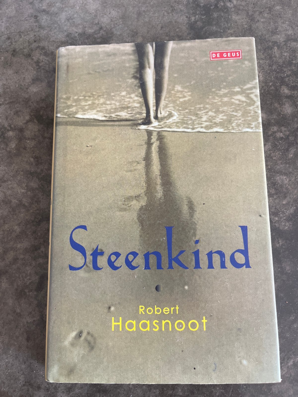 Steenkind - Robert Haasnoot (De Geus), Ophalen of Verzenden, Zo goed als nieuw, Nederland