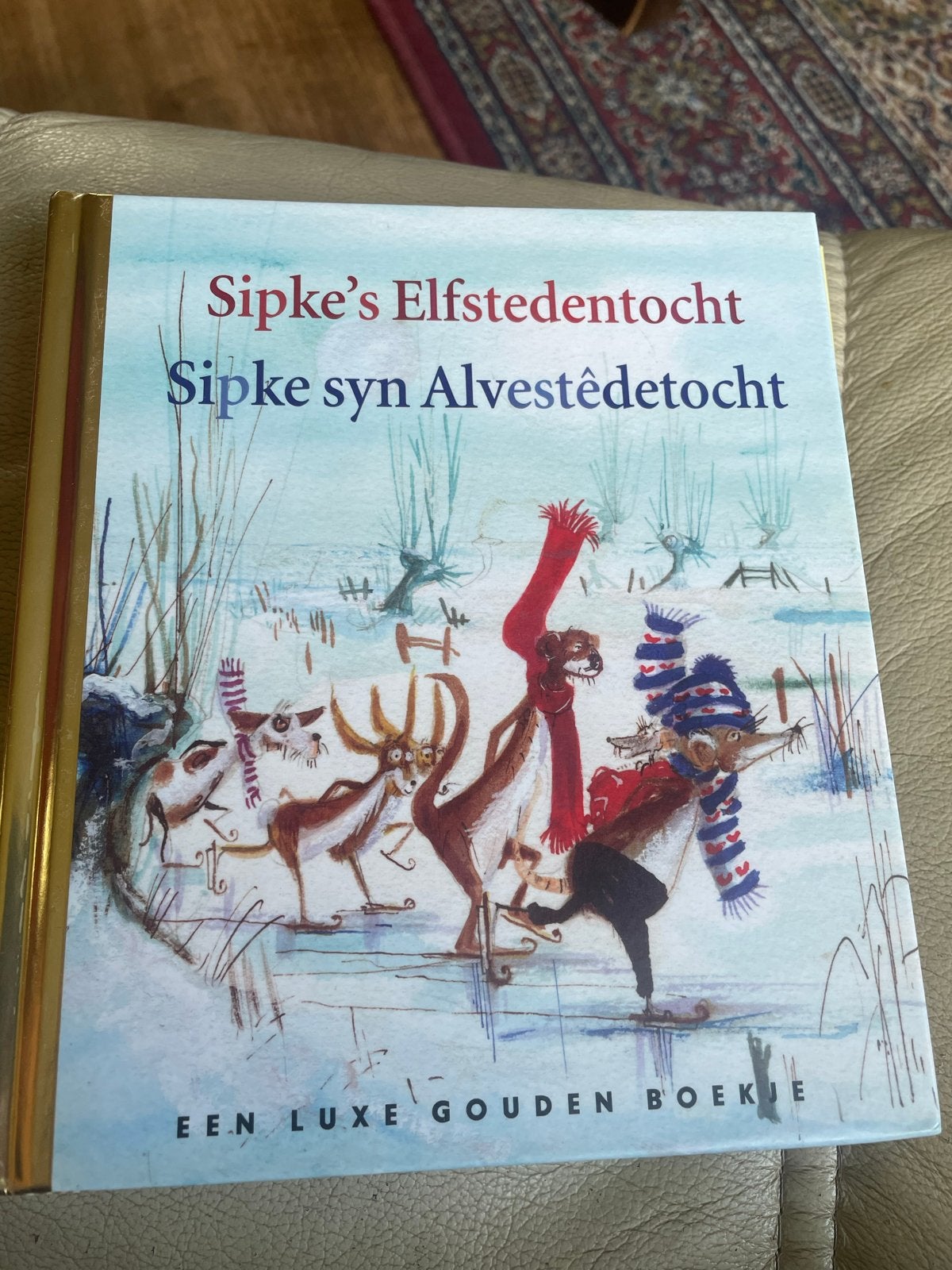 Sipke's Elfstedentocht - Gouden Boekje, Ophalen of Verzenden, Zo goed als nieuw, 2 tot 3 jaar