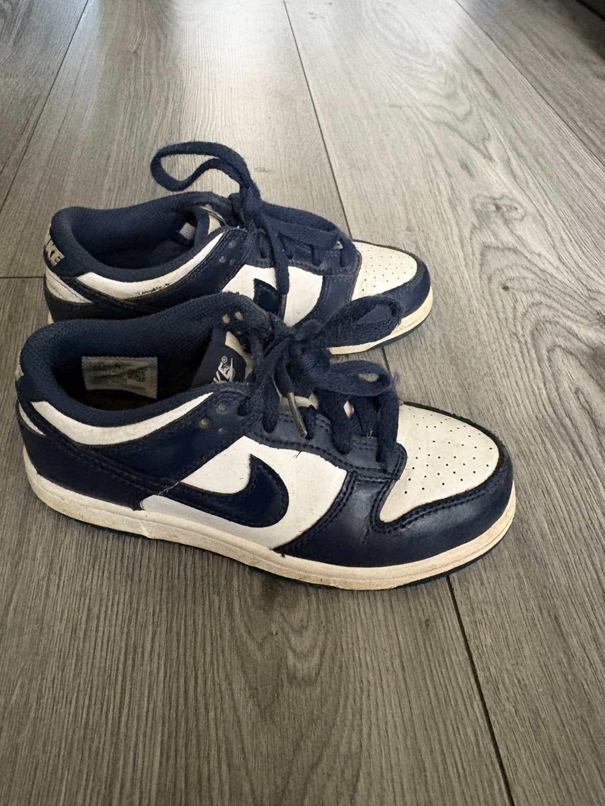 Nike dunk maat 31,5, Kinderen en Baby's, Ophalen of Verzenden, Zo goed als nieuw, Jongen of Meisje