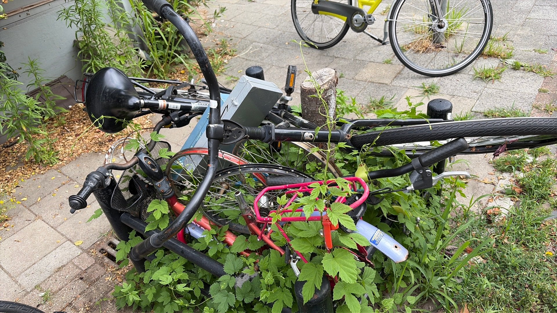 Gratis ijzer, Doe-het-zelf en Verbouw, Metalen, Ophalen, Gebruikt, IJzer
