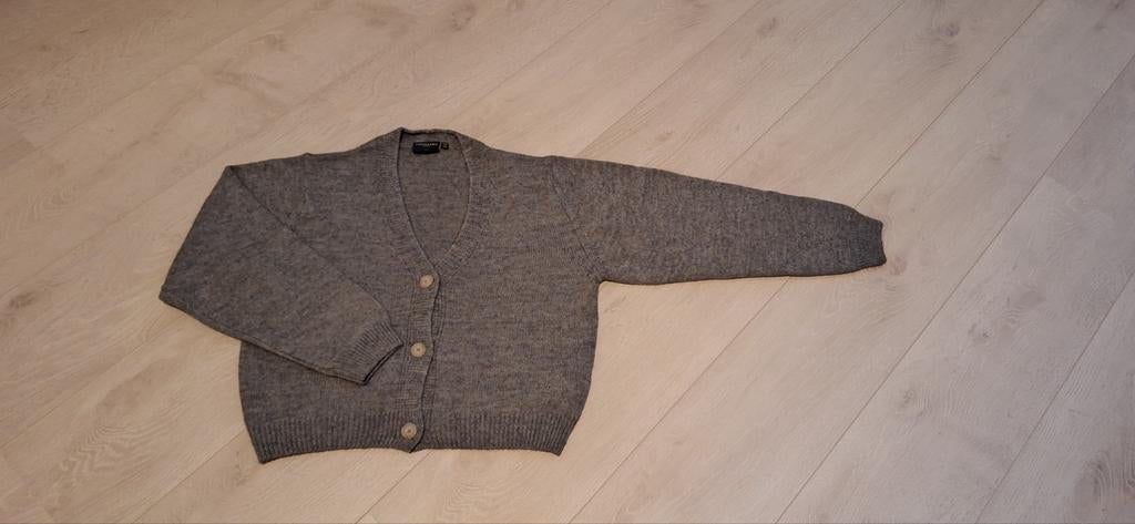Cavallaro Napoli Dames Vestje  Maat L, Ophalen of Verzenden, Zo goed als nieuw, Grijs, Cavallaro Napoli