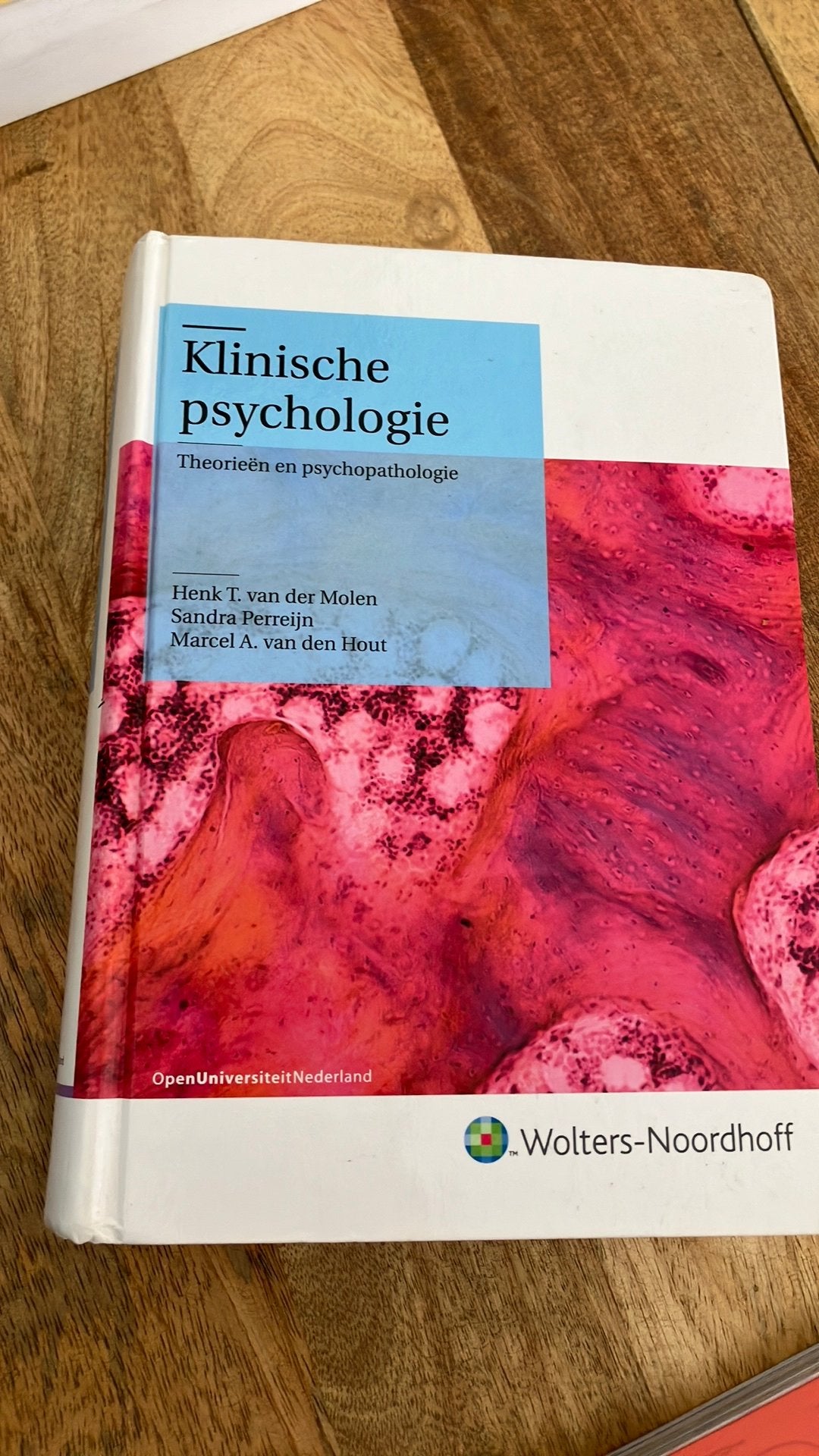 Klinische psychologie, Boeken, Psychologie, Ophalen of Verzenden, Gelezen, Klinische psychologie