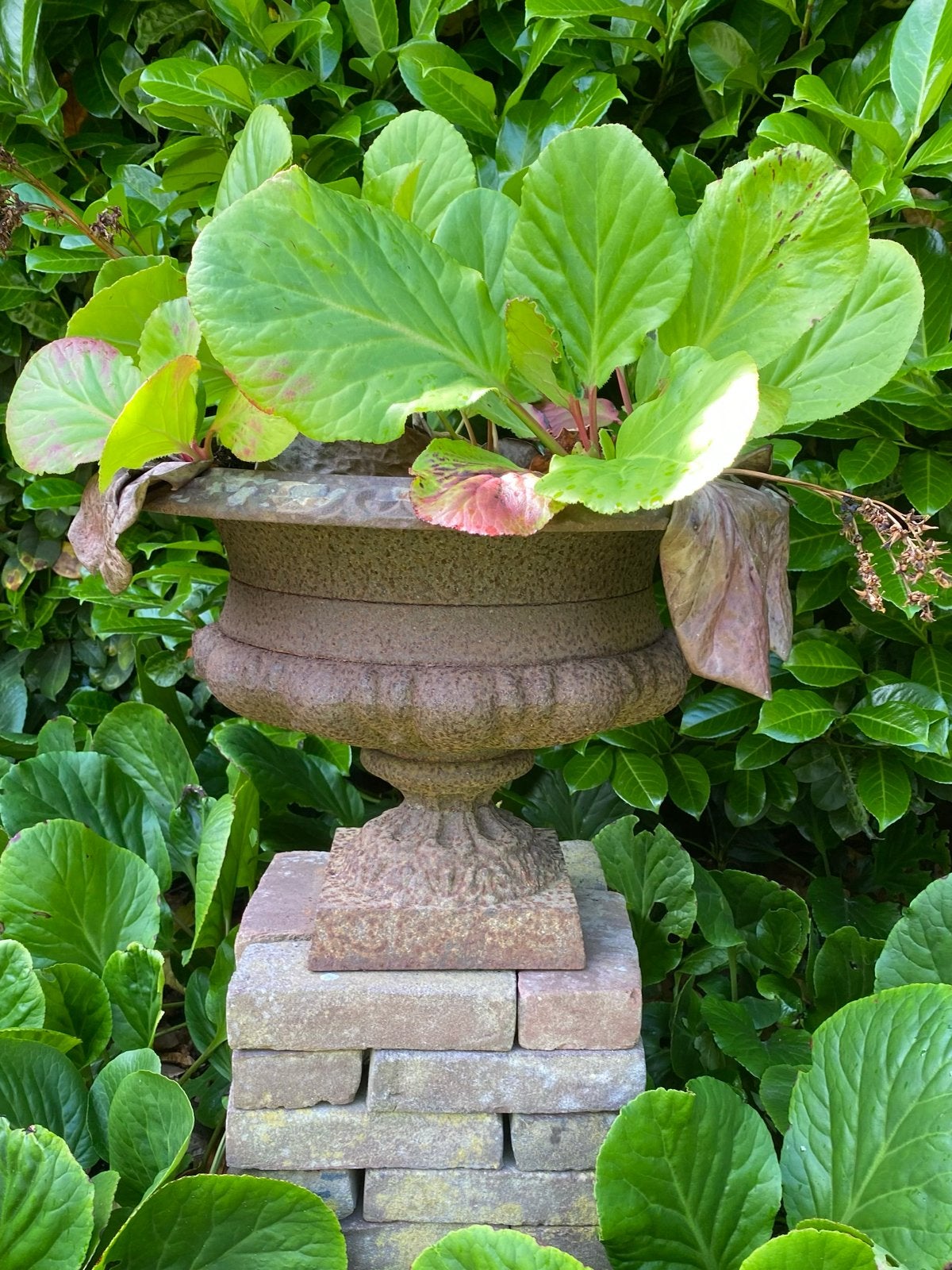 Gietijzeren plantenvaas - Doorsnede 50 cm, Hoogte 36 cm, Ophalen, Gebruikt, Balkon, 40 cm of meer