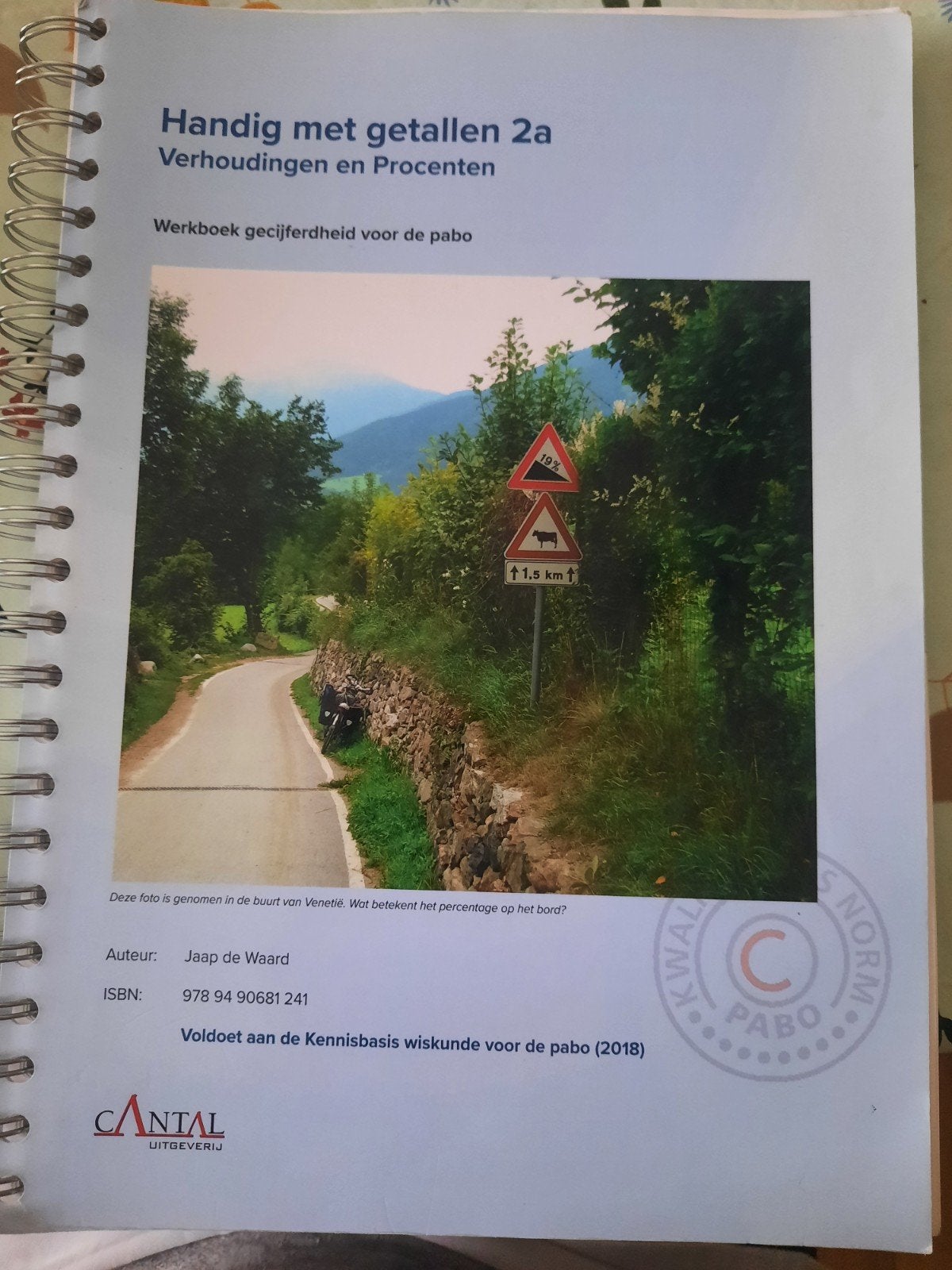 PABO Handig met getallen 2a - Werkboek Pabo, Boeken, Schoolboeken, Wiskunde A, Ophalen of Verzenden, Zo goed als nieuw, Jaap de Waard
