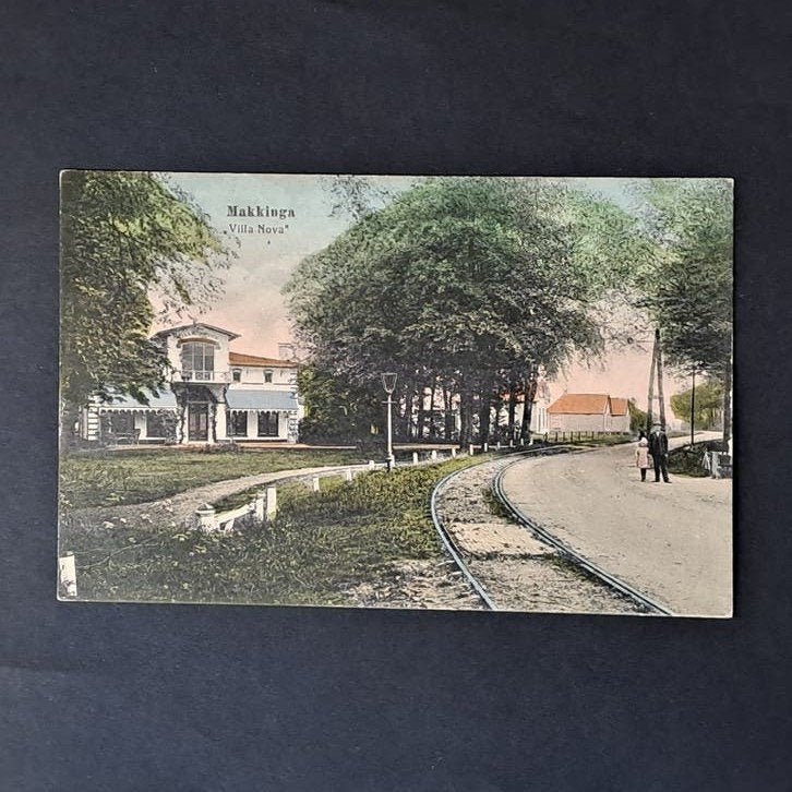 Makkinga Friesland Gezicht op Villa Nova met Trambaan, Ophalen of Verzenden, 1920 tot 1940, Gelopen, Friesland