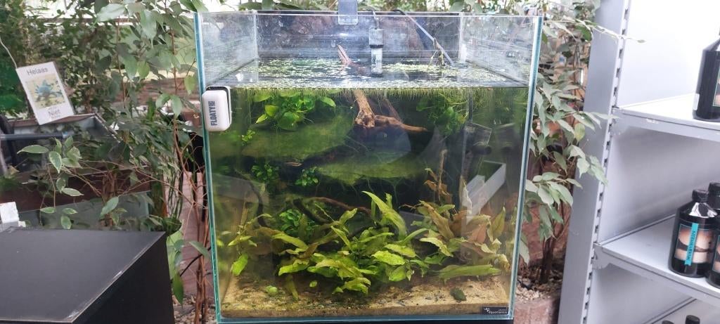 Aqualantis aquarium ingericht, Dieren en Toebehoren, Vissen | Aquaria en Toebehoren, Ophalen, Aquatlantis, Gevuld zoetwateraquarium