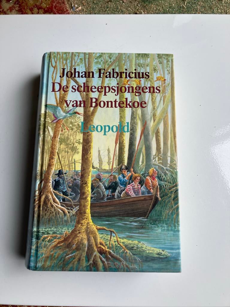 De scheepsjongens van Bontekoe - Johan Fabricius, Ophalen of Verzenden, Gelezen, Fictie algemeen