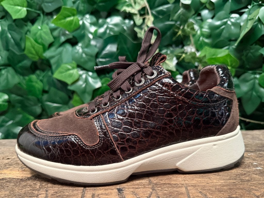 Nieuwe sneakers van Xsensible maat 38 (wijdte G), Bruin, Nieuw, Ophalen of Verzenden, Sneakers of Gympen