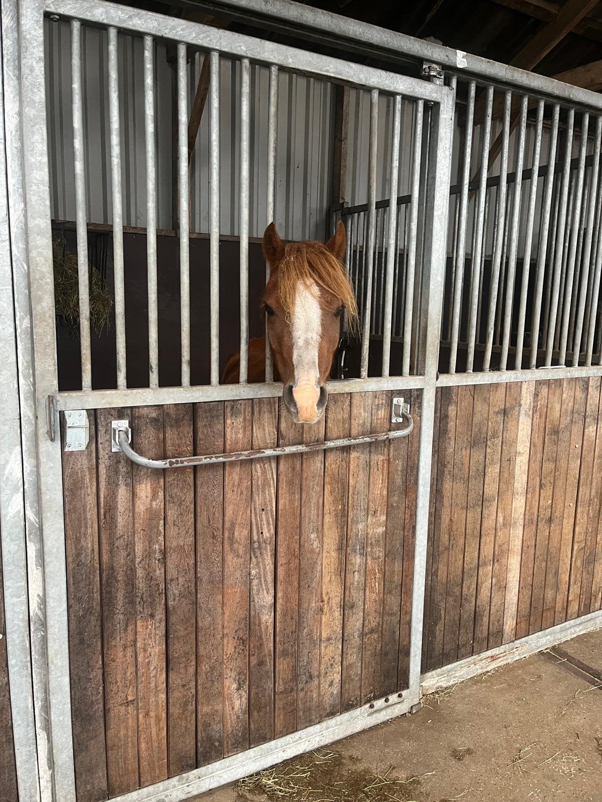 Stallingsplekje vrij in Lunteren met volop weidegang