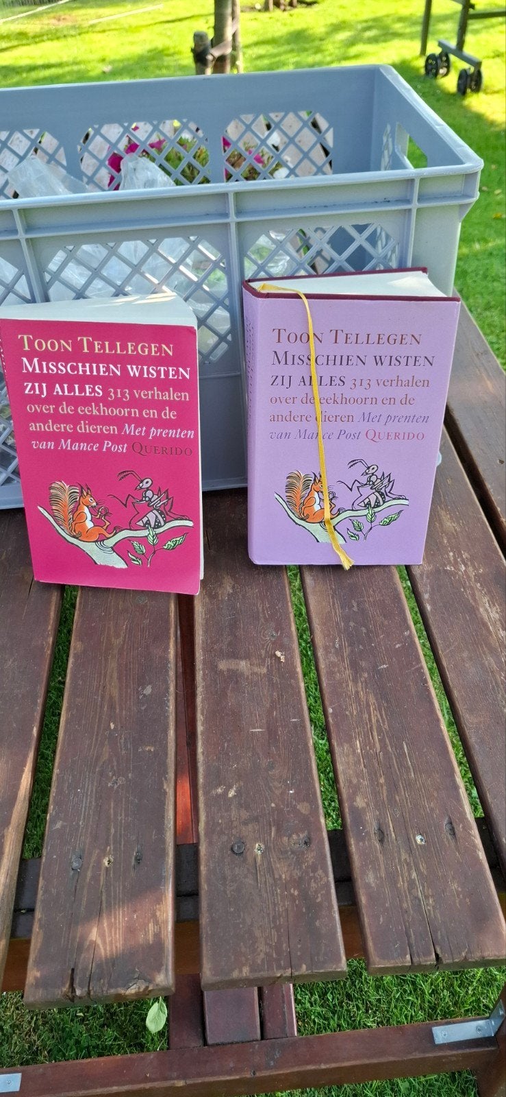 Toon  Tellegen, leesboeken, Ophalen of Verzenden, Zo goed als nieuw, Sprookjes