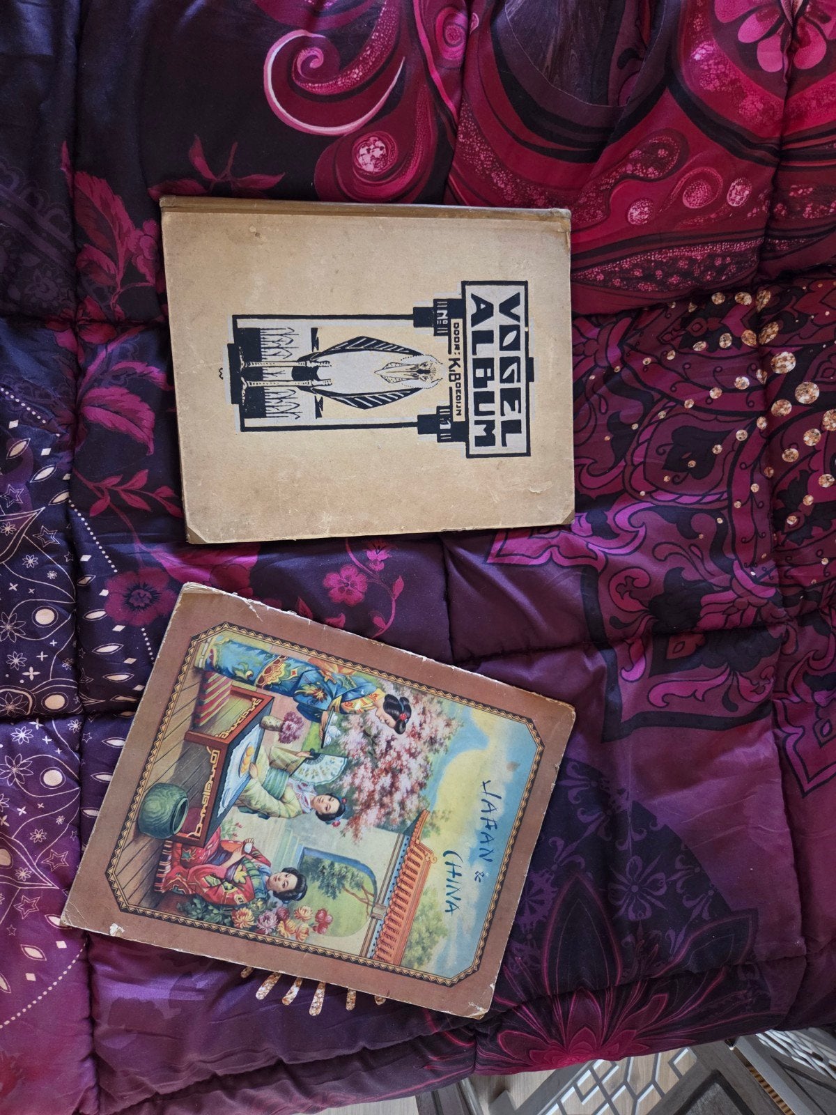 Vintage Plaatjesalbums: Vogel Album & Japan/China, Ophalen of Verzenden, Gelezen, Diverse auteurs, Plaatjesalbum