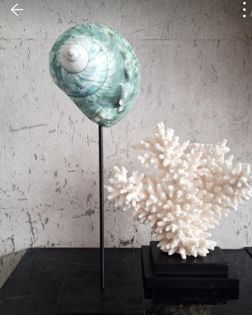 Prachtige grote groene schelp op voet ibiza stijl, Ophalen of Verzenden, X, X, X