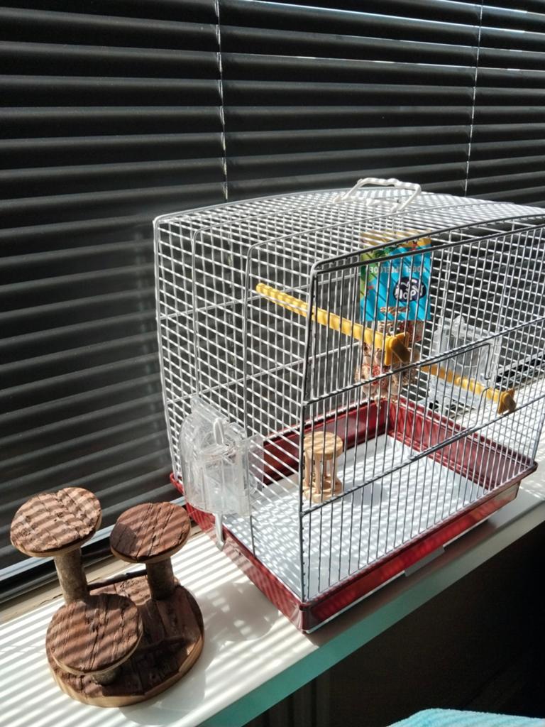 Bina nieuw Vogel kooi, was tijdelijk geweest., Dieren en Toebehoren, Minder dan 60 cm, Kooi, Minder dan 75 cm, Ophalen of Verzenden