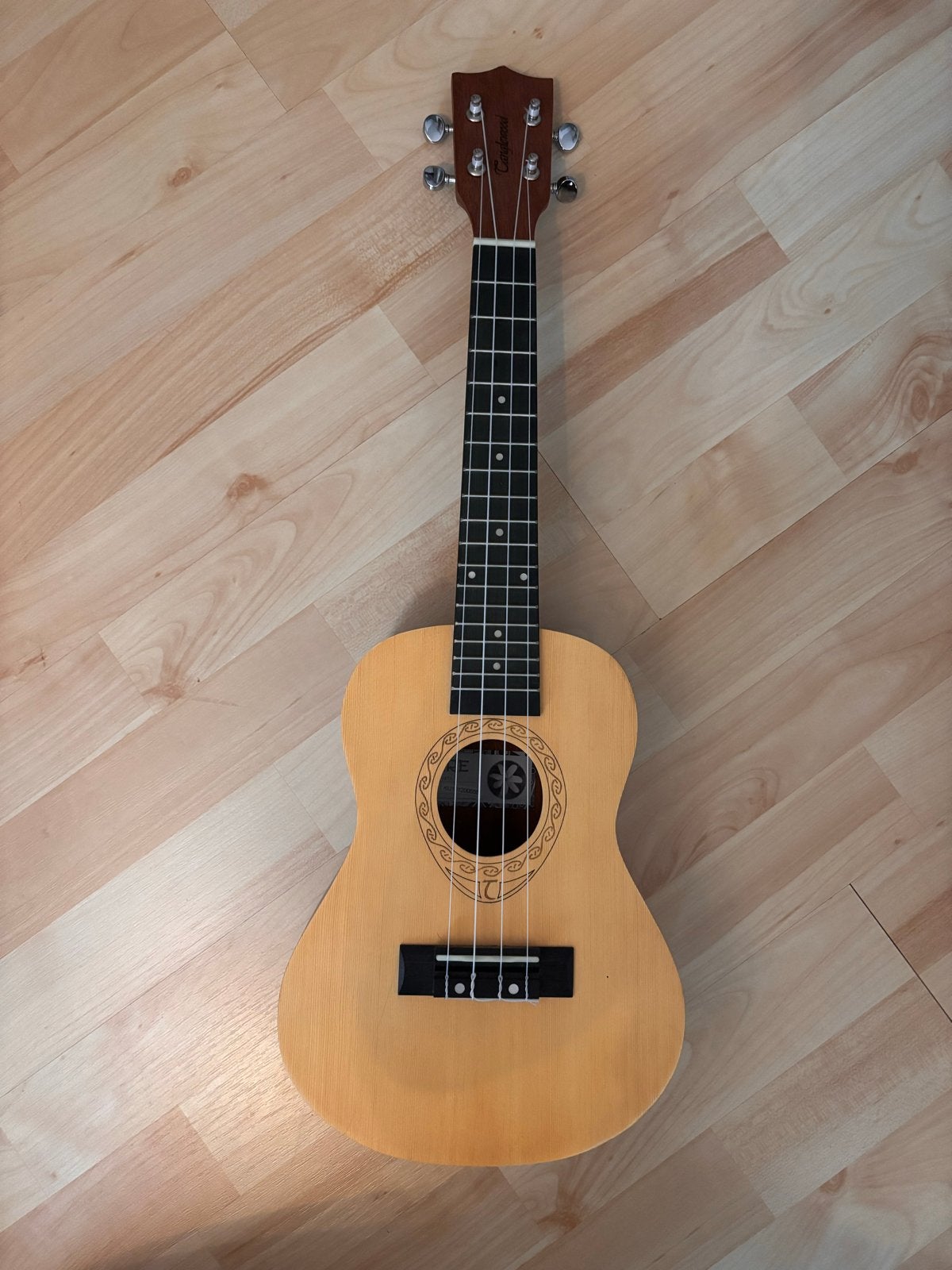 Tanglewood Ukulele met hoes en wandhaak, Ophalen, Zo goed als nieuw, Overige typen, Met koffer