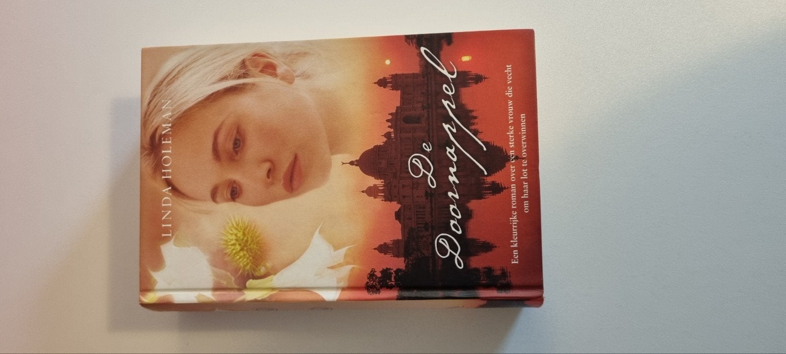 De Doornappel - Linda Holeman (Roman), Ophalen of Verzenden, Zo goed als nieuw, Linda Holeman, Nederland