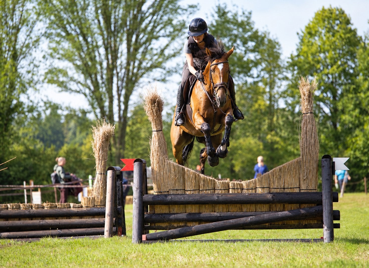 weidemaatje/recreatie/sportpaard voor een hele kleine prijs!, Merrie, Springpaard, 7 tot 10 jaar, 165 tot 170 cm