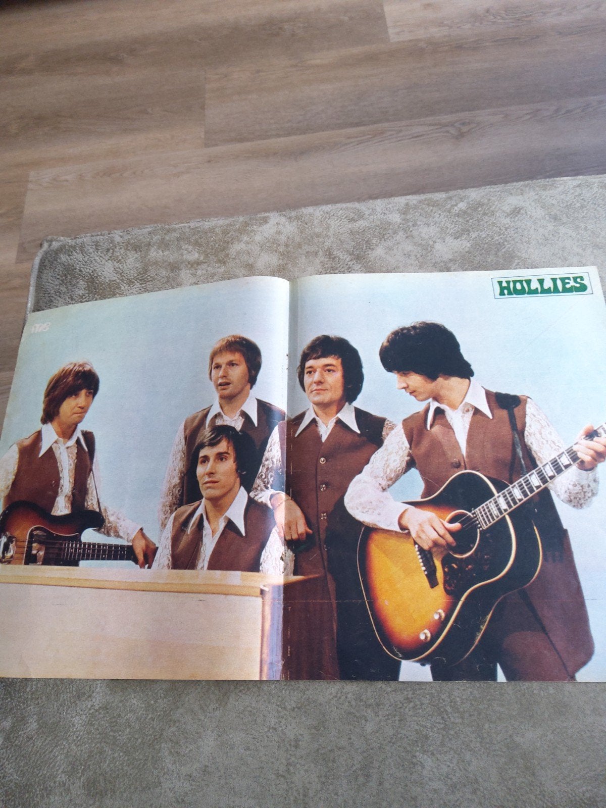 The Hollies:  Poster muziek expres, Ophalen of Verzenden, A1 t/m A3, Muziek