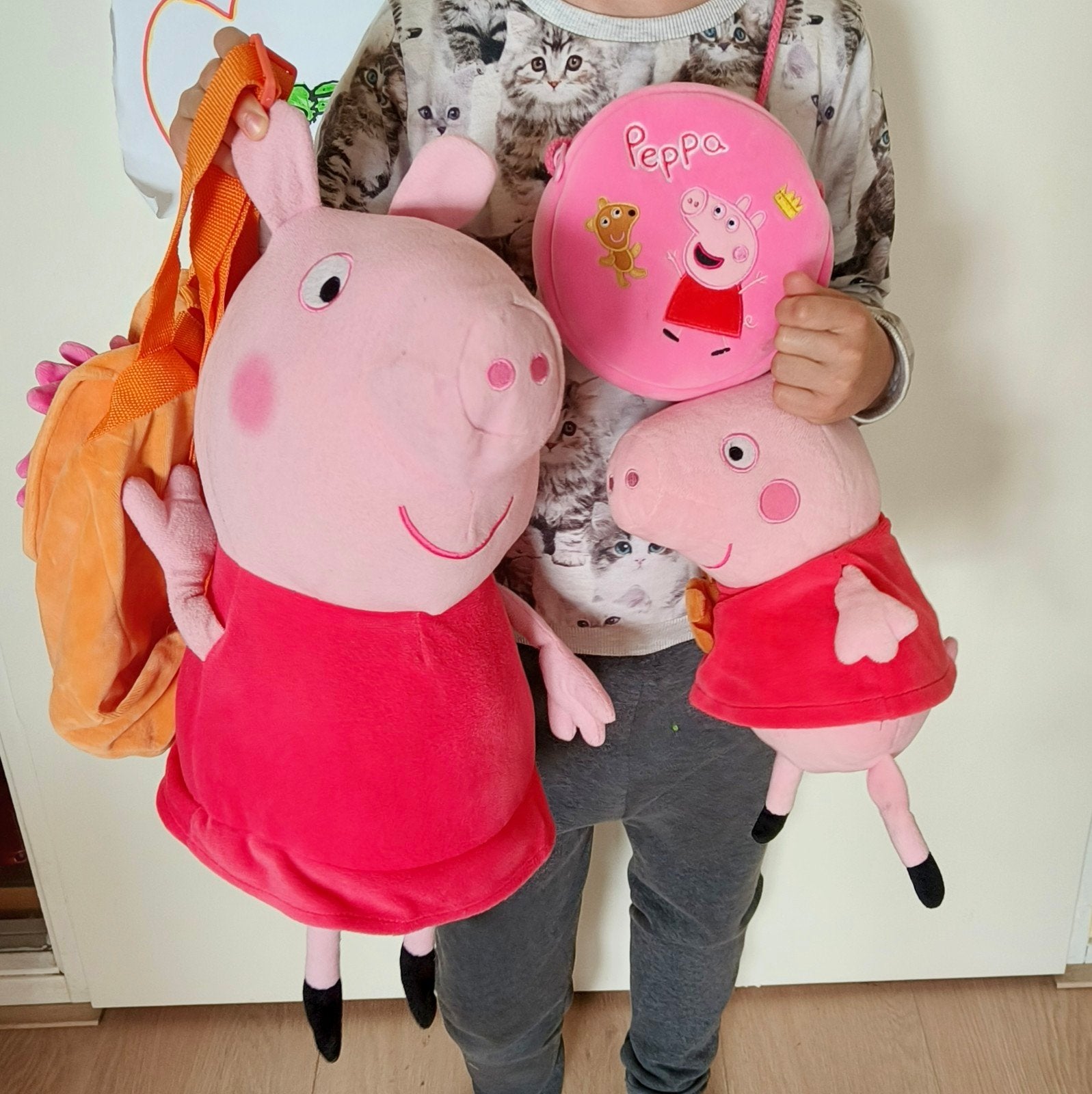 Peppa Pig Knuffels en Tas + oranie rugzak, Ophalen, Overige merken, Overige typen, Middelgroot (20 tot 80 cm)