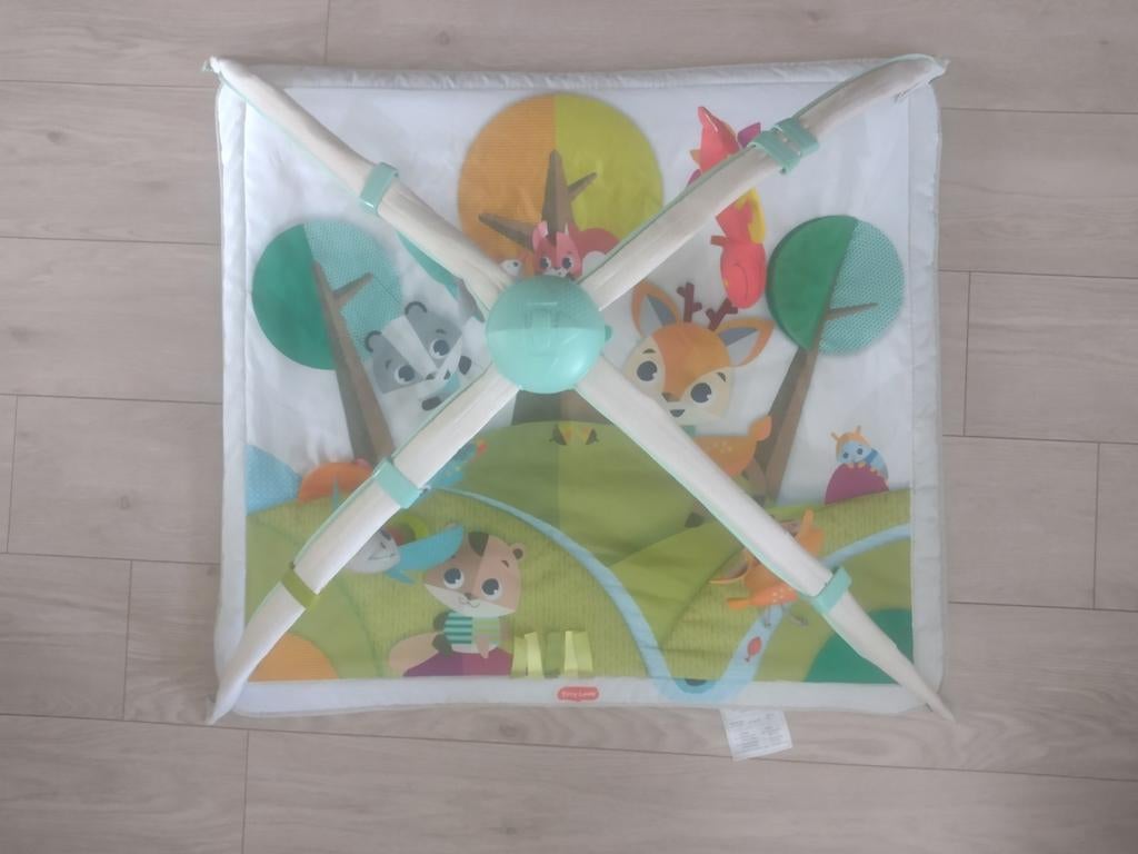 Tiny Love Speelkleed met Babygym en Speeltjes, Kinderen en Baby's, Speelgoed | Babyspeelgoed, Ophalen of Verzenden, Babygym