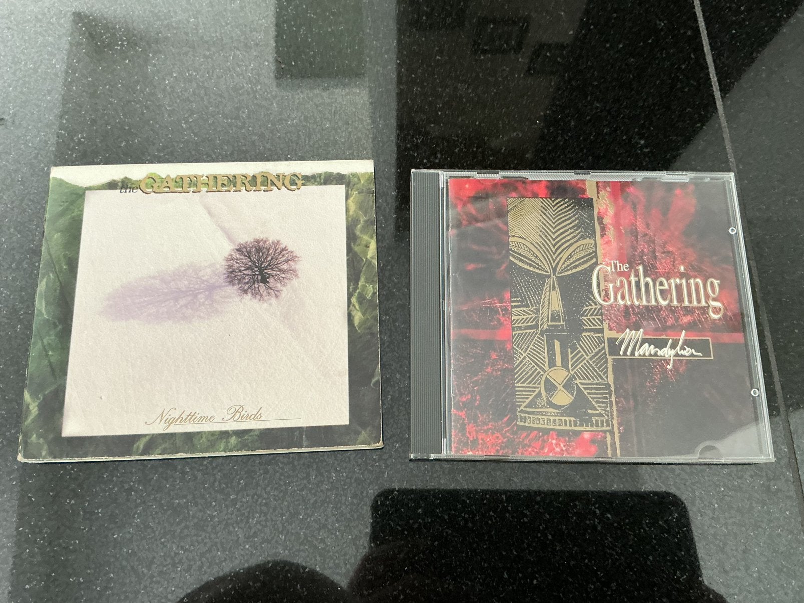 The Gathering CD's: Nighttime Birds & Mandylion, Cd's en Dvd's, Cd's | Rock, Gebruikt, Progressive, Ophalen of Verzenden