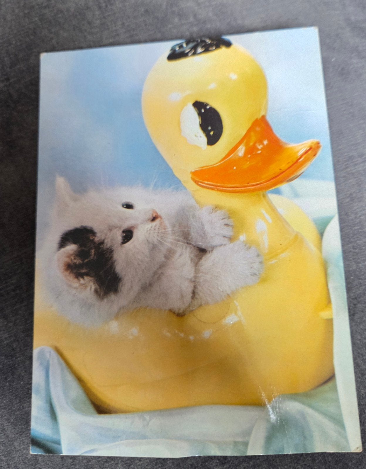 Piepkaart - Katje in badeend -.Ansichtkaart met piep geluid, Verzamelen, Verzenden, 1980 tot heden, Gelopen, Hond of Kat