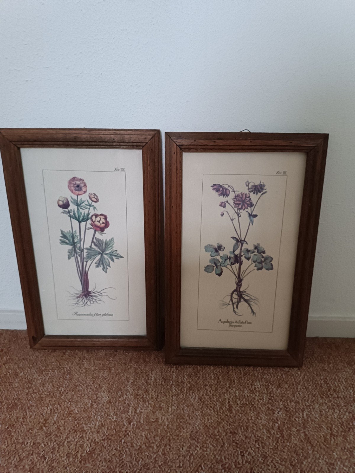 Ingelijste bloemprent set van 2, Ophalen of Verzenden