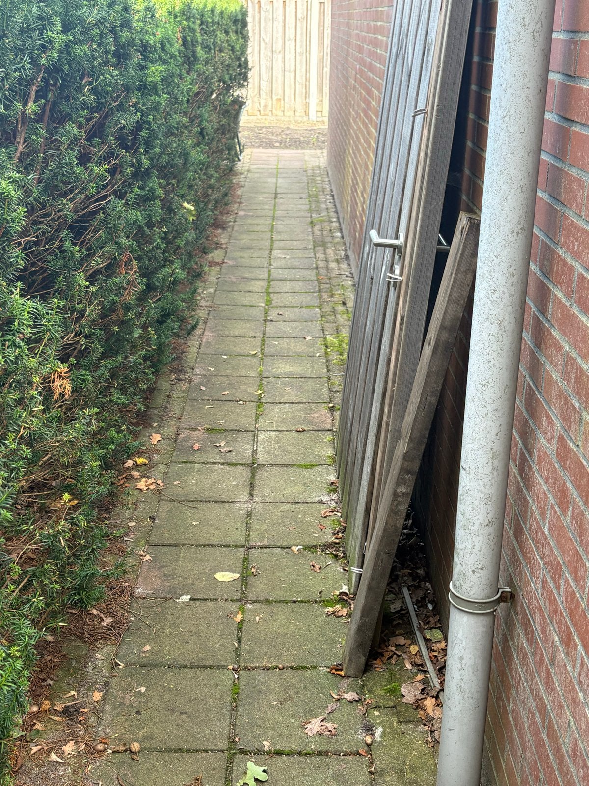 Gebruikte terrastegels en klinkers, Gebruikt, Ophalen of Verzenden, 10 m² of meer, Beton