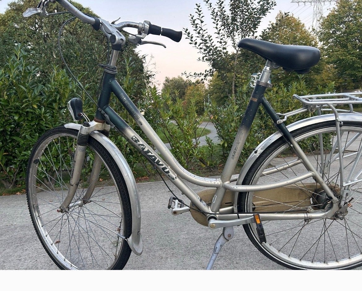 Batavus damesfiets - Nieuwe remmen nodig, Fietsen en Brommers, Ophalen, Gebruikt, Velgrem, Batavus