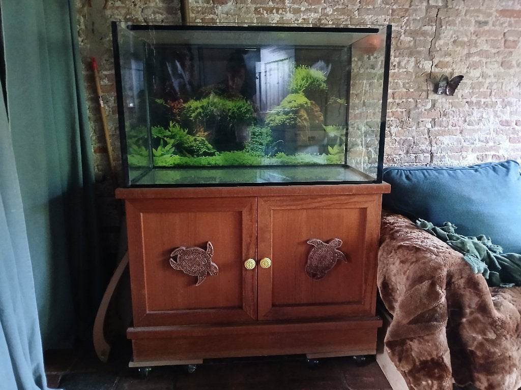 Aquarium 100x50x60 cm, Ophalen, Gebruikt, Leeg aquarium