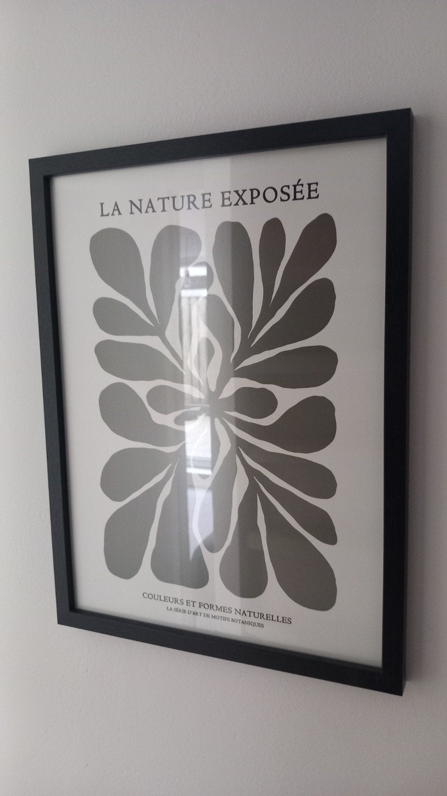 Kleine ingelijste prent 30x40cm - La Nature Exposée, Ophalen, 40 cm, Ingelijst werk, Zo goed als nieuw