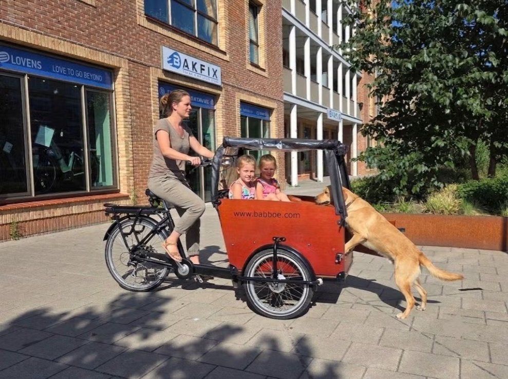 2de hands elektrische Babboe Big hondenbakfiets, Fietsen en Brommers, Gebruikt, -, -, Elektrisch