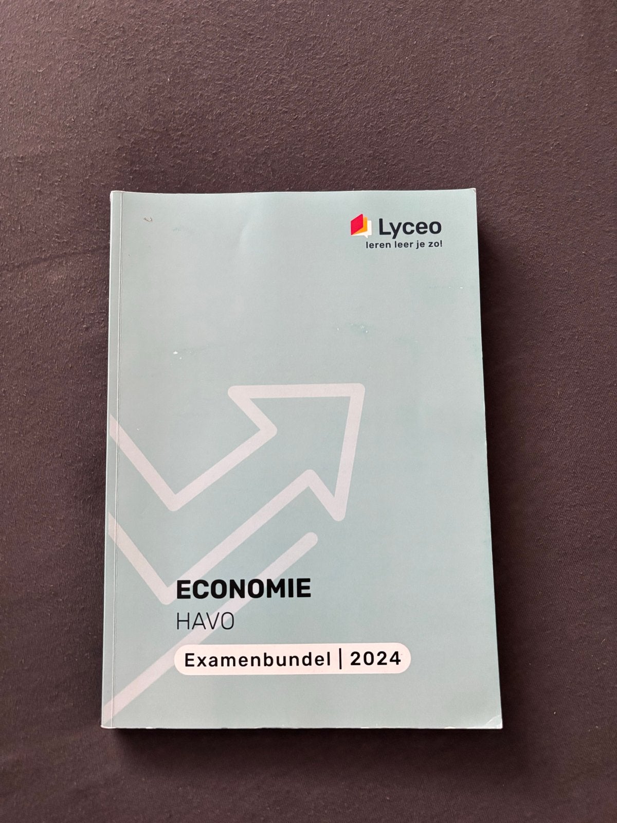 Examenbundel Economie HAVO 2024 - Lyceo, Boeken, Schoolboeken, Ophalen of Verzenden, Zo goed als nieuw, HAVO, Economie