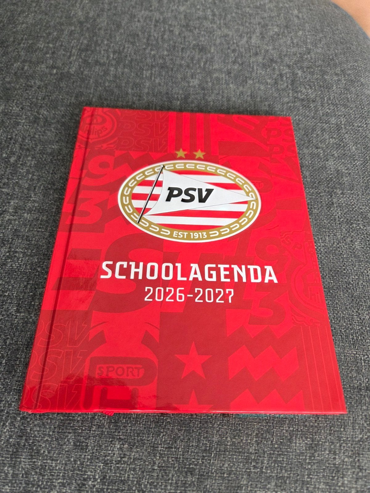 Psv agenda, Ophalen of Verzenden, Zo goed als nieuw, PSV, Overige typen