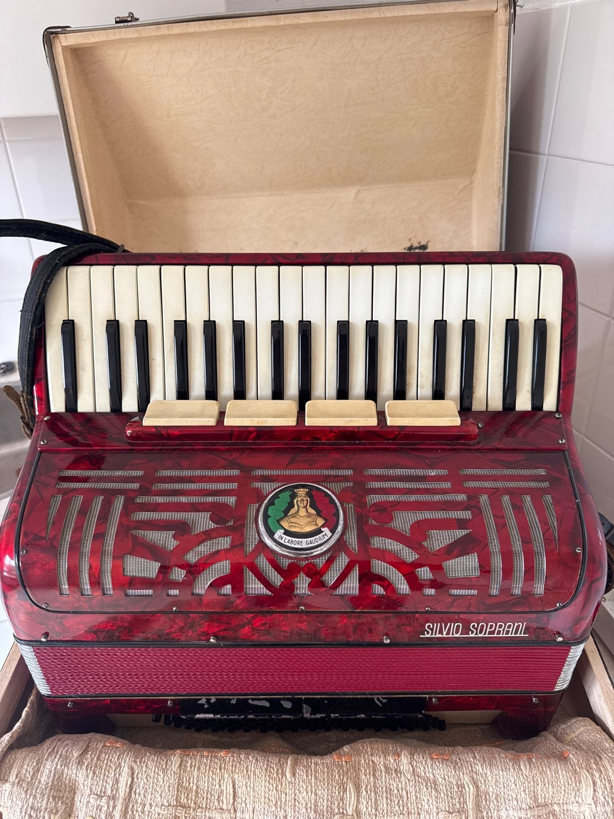Silvio Soprani Accordeon - Rood, met koffer en riemen, Muziek en Instrumenten, Accordeons, Overige merken, Gebruikt, Overige formaten