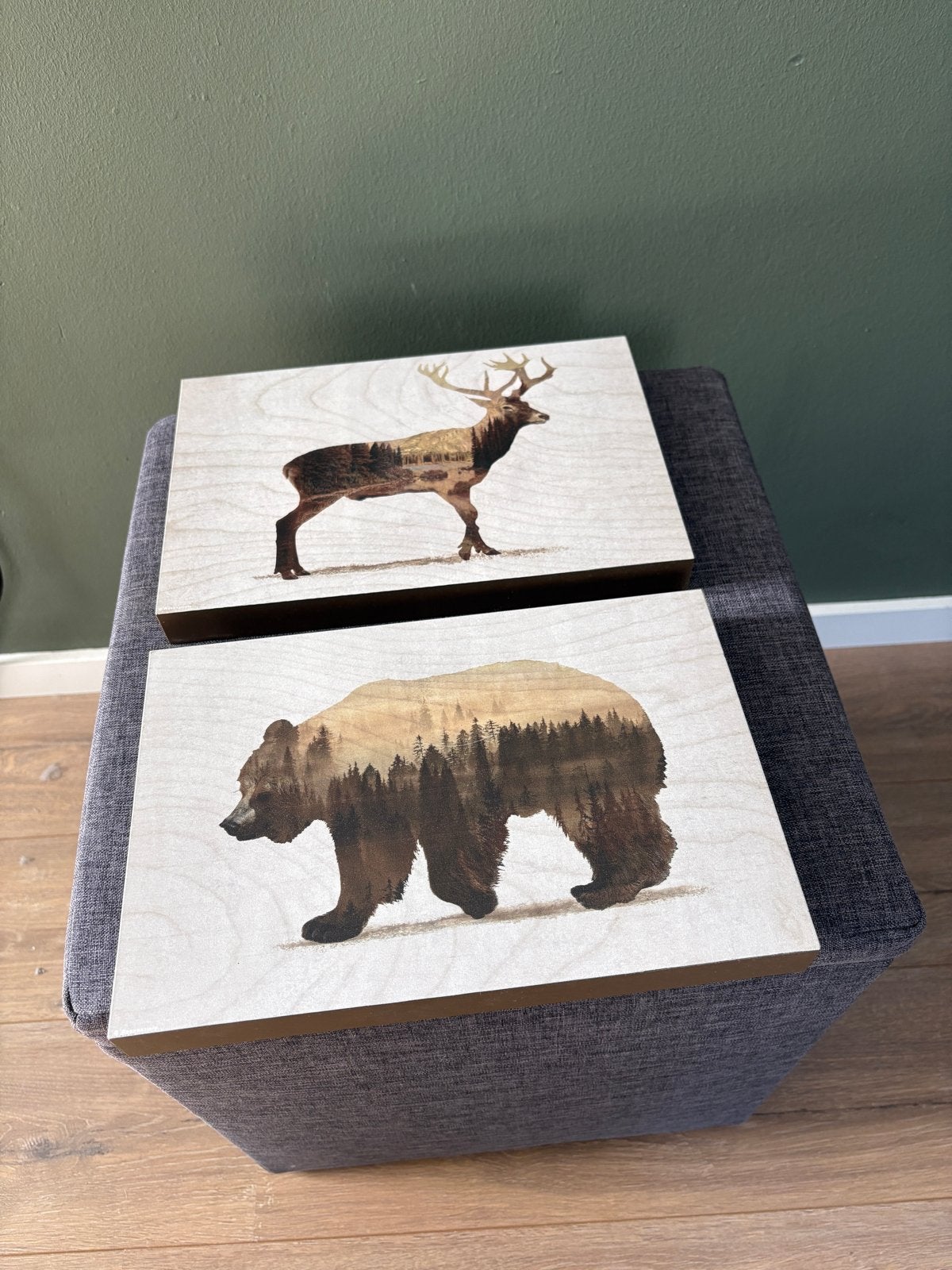 2 leuke Ikea schilderijtjes met dierenprint, Ophalen, Minder dan 50 cm, Zo goed als nieuw, Schilderij